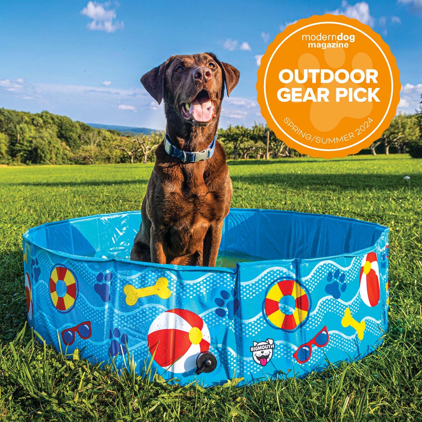 BigMouth Inc Patterns and Splashes Pet Pool