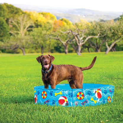 BigMouth Inc Patterns and Splashes Pet Pool