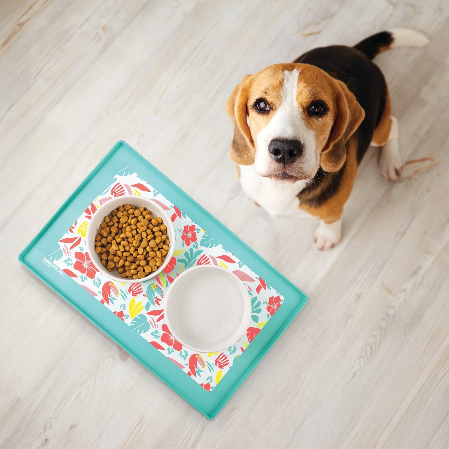 BigMouth Inc Tropical Pet Placemat