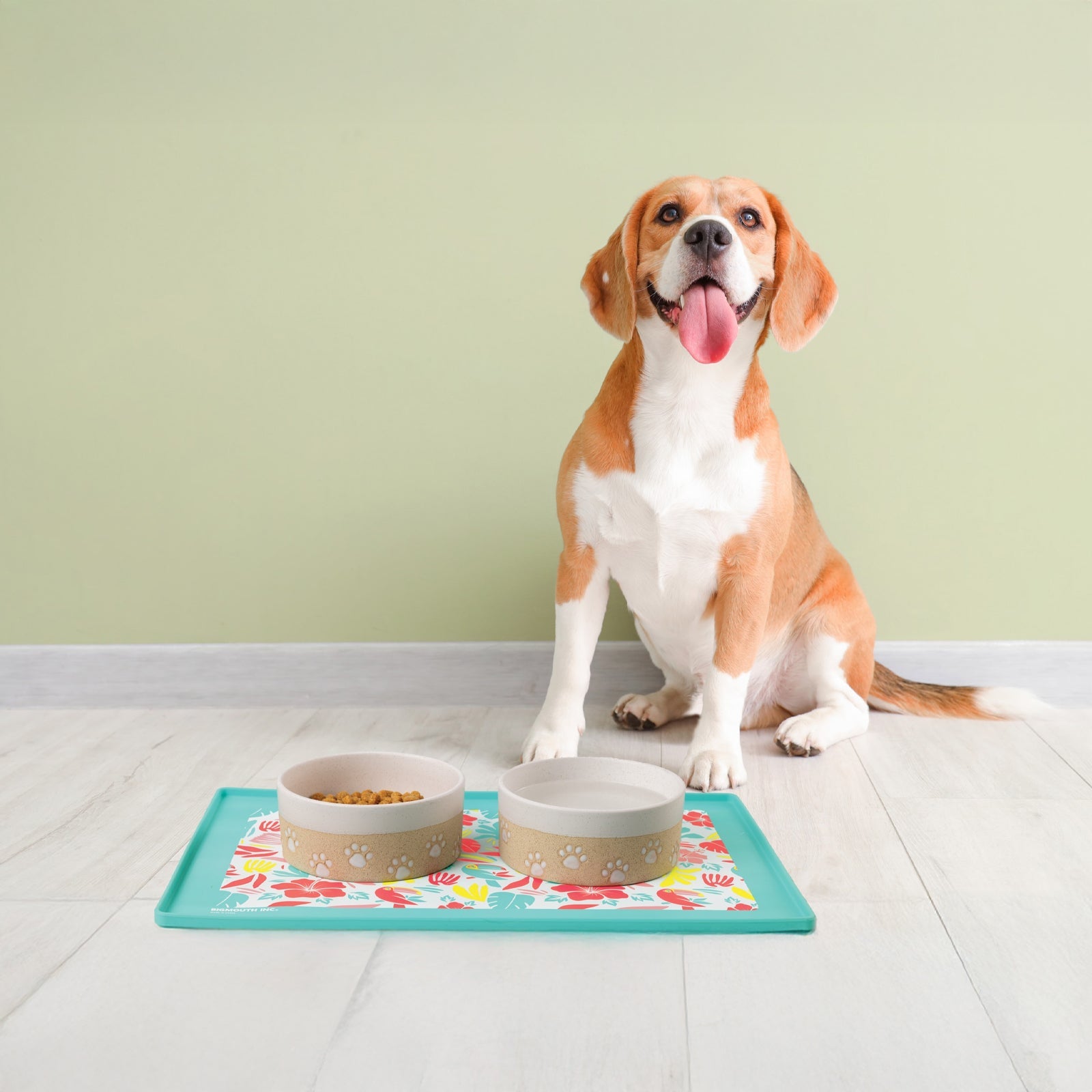 BigMouth Inc Tropical Pet Placemat