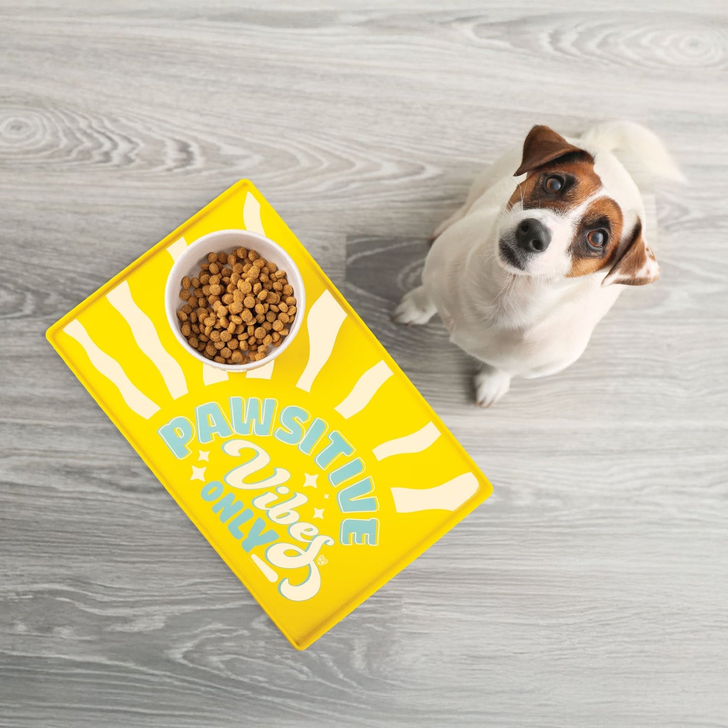 BigMouth Inc Pawsitive Vibes Pet Placemat