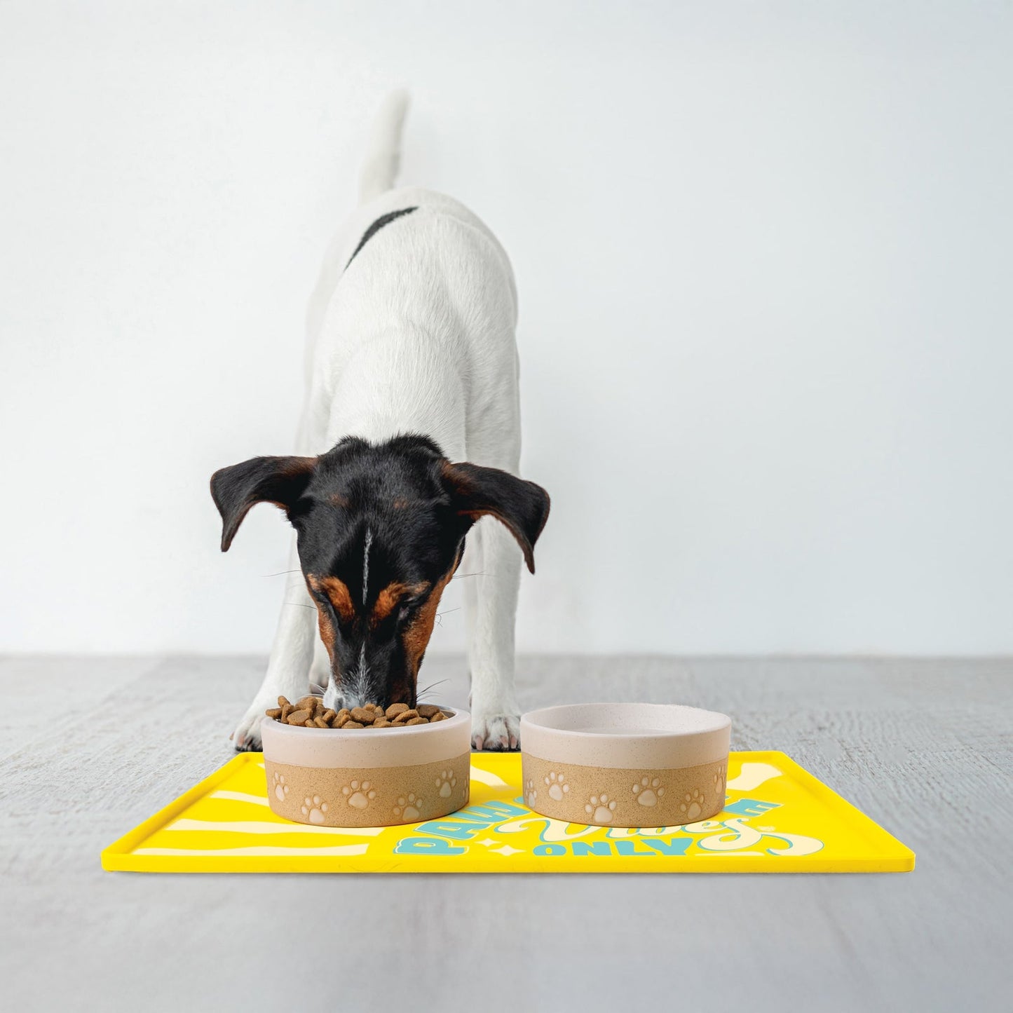 BigMouth Inc Pawsitive Vibes Pet Placemat