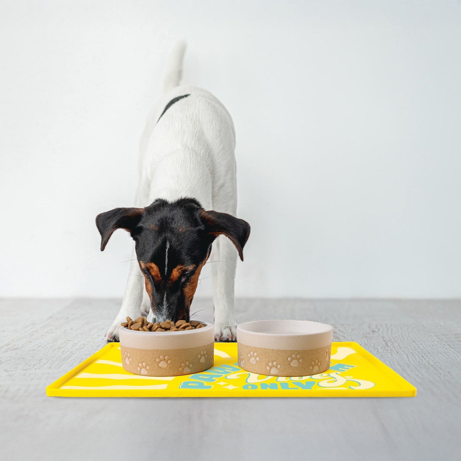 BigMouth Inc Pawsitive Vibes Pet Placemat