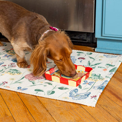 BigMouth Inc Paw-Corn Pet Plate