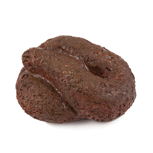 BigMouth Inc Busters Hide-A-Key Dog Poop