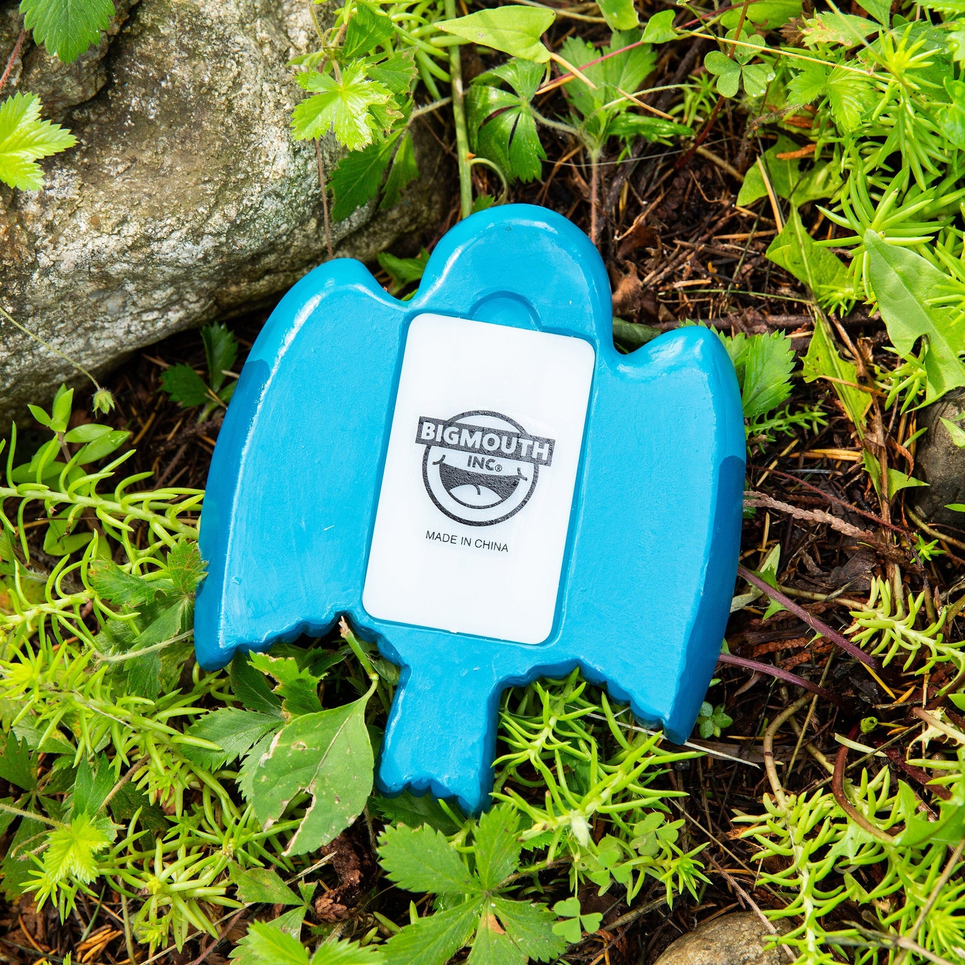 BigMouth Inc Bird Hide-A-Key