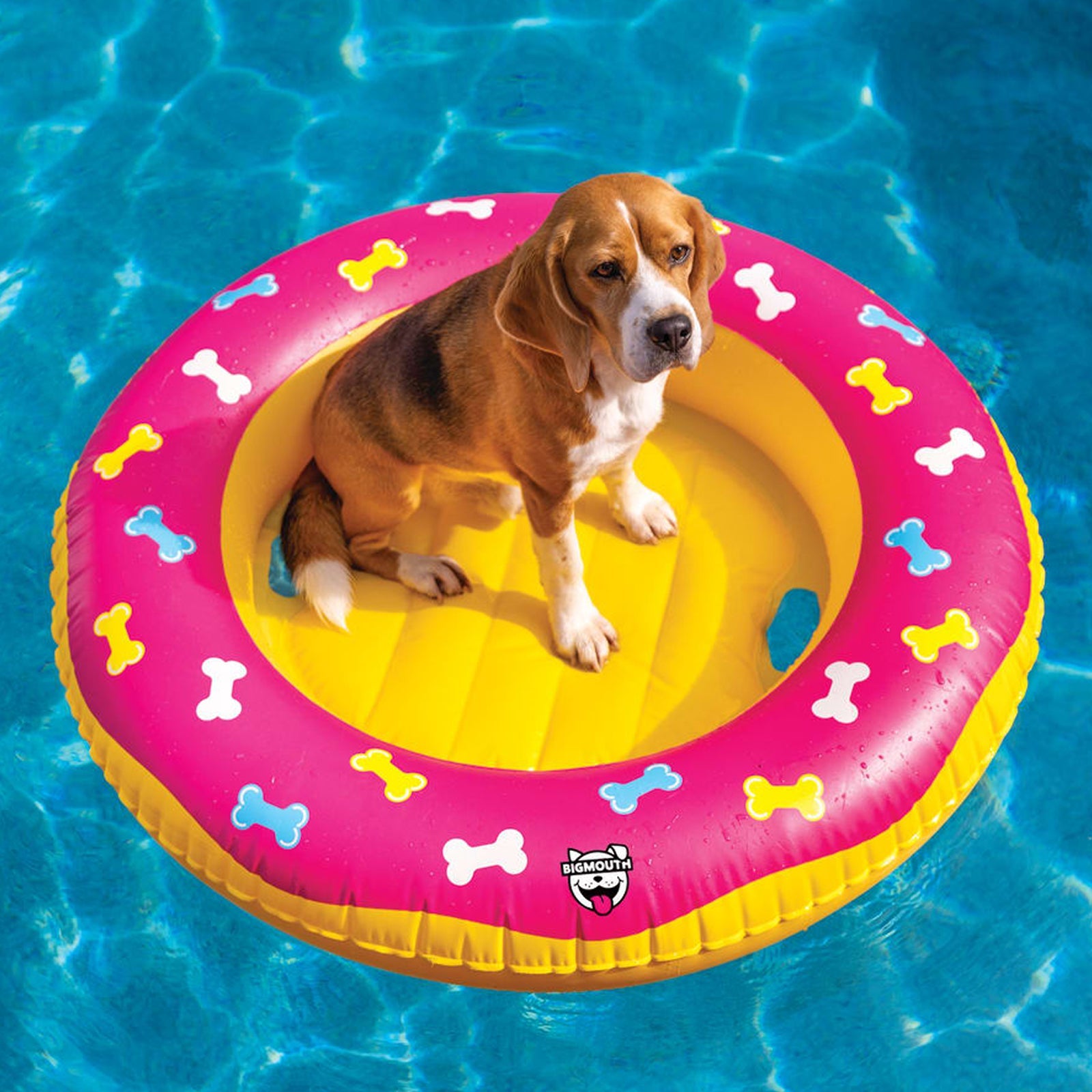 BigMouth Inc BigMouth Pets Bone Patterned Pool Float