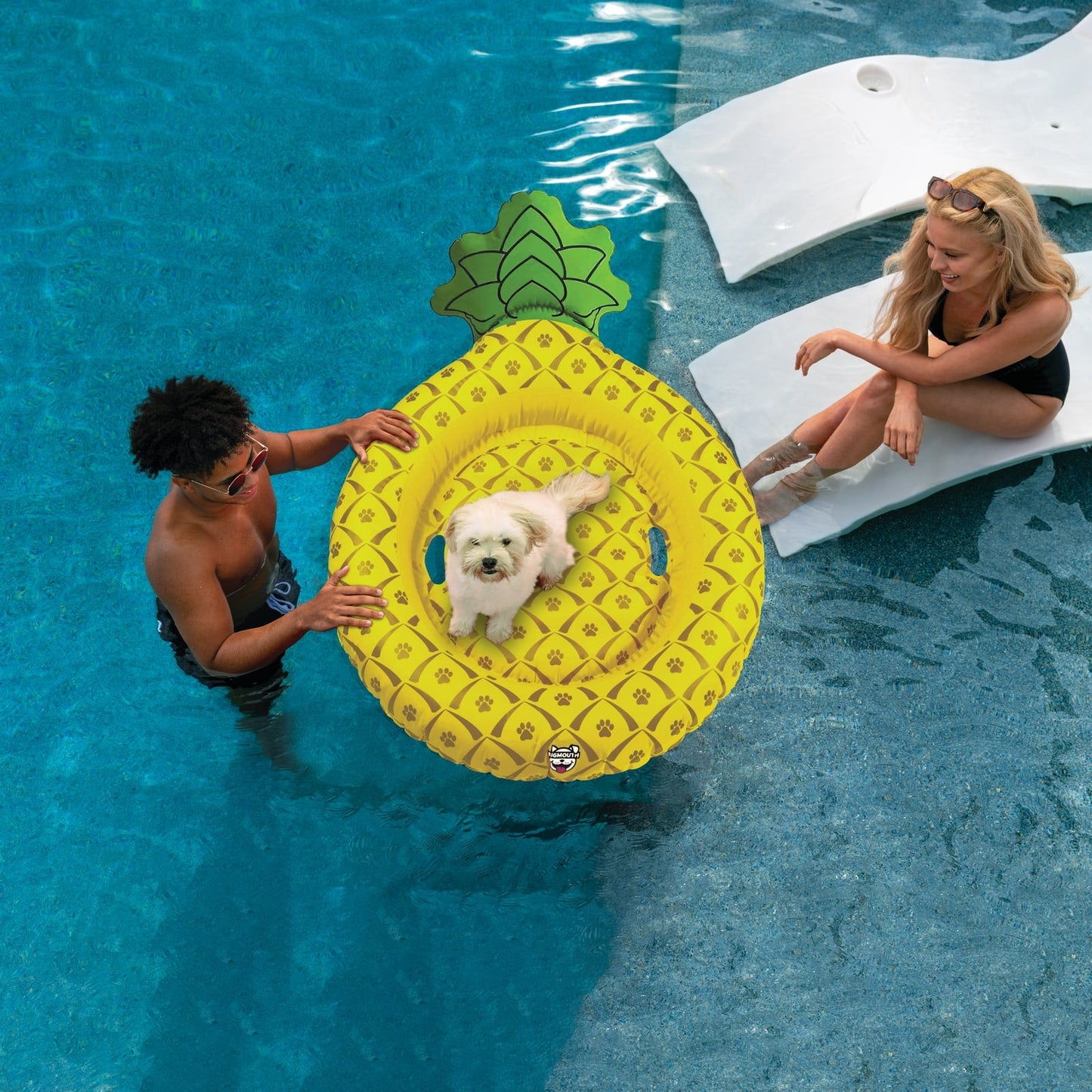 BigMouth Inc BigMouth Pets Pineapple Pool Float