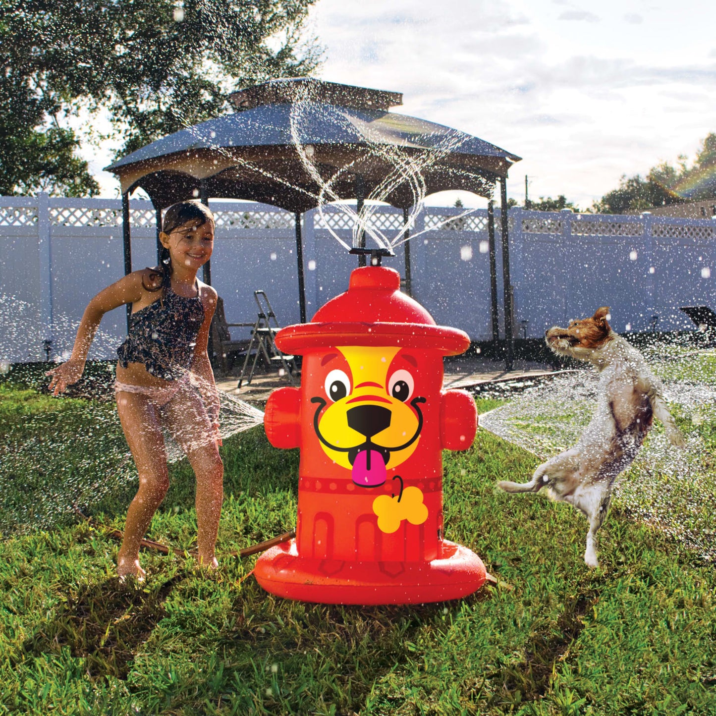 BigMouth Inc Mini Pet Fire Hydrant Sprinkler
