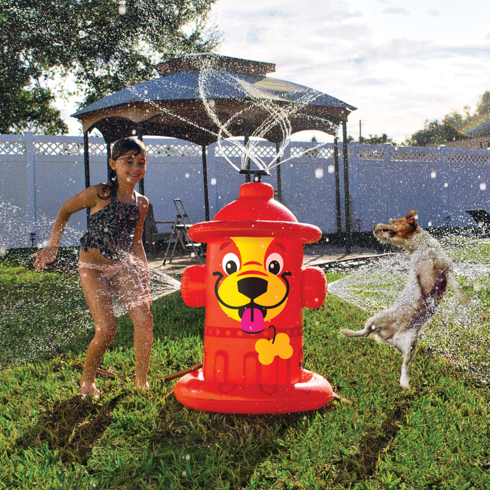 BigMouth Inc Mini Pet Fire Hydrant Sprinkler