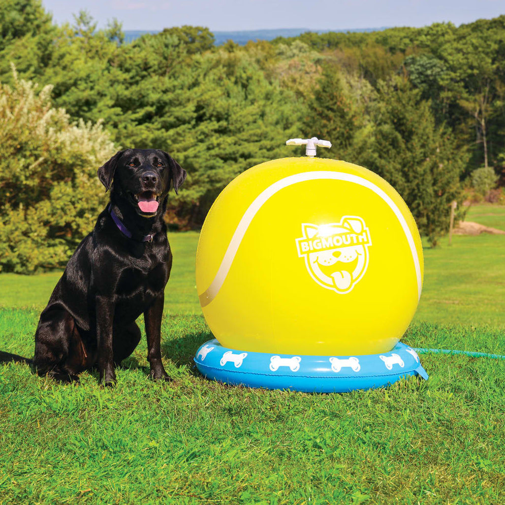 BigMouth Inc BigMouth Pets Tennis Ball Sprinkler