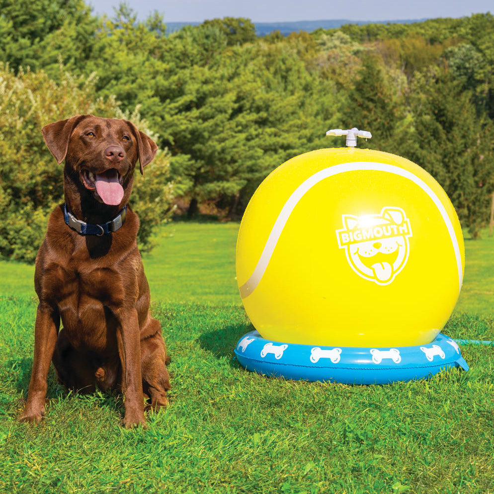 BigMouth Inc BigMouth Pets Tennis Ball Sprinkler
