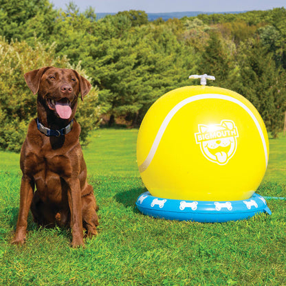 BigMouth Inc BigMouth Pets Tennis Ball Sprinkler