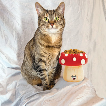 BigMouth Inc BigMouth 'Shroom' Cat and Dog Bowl