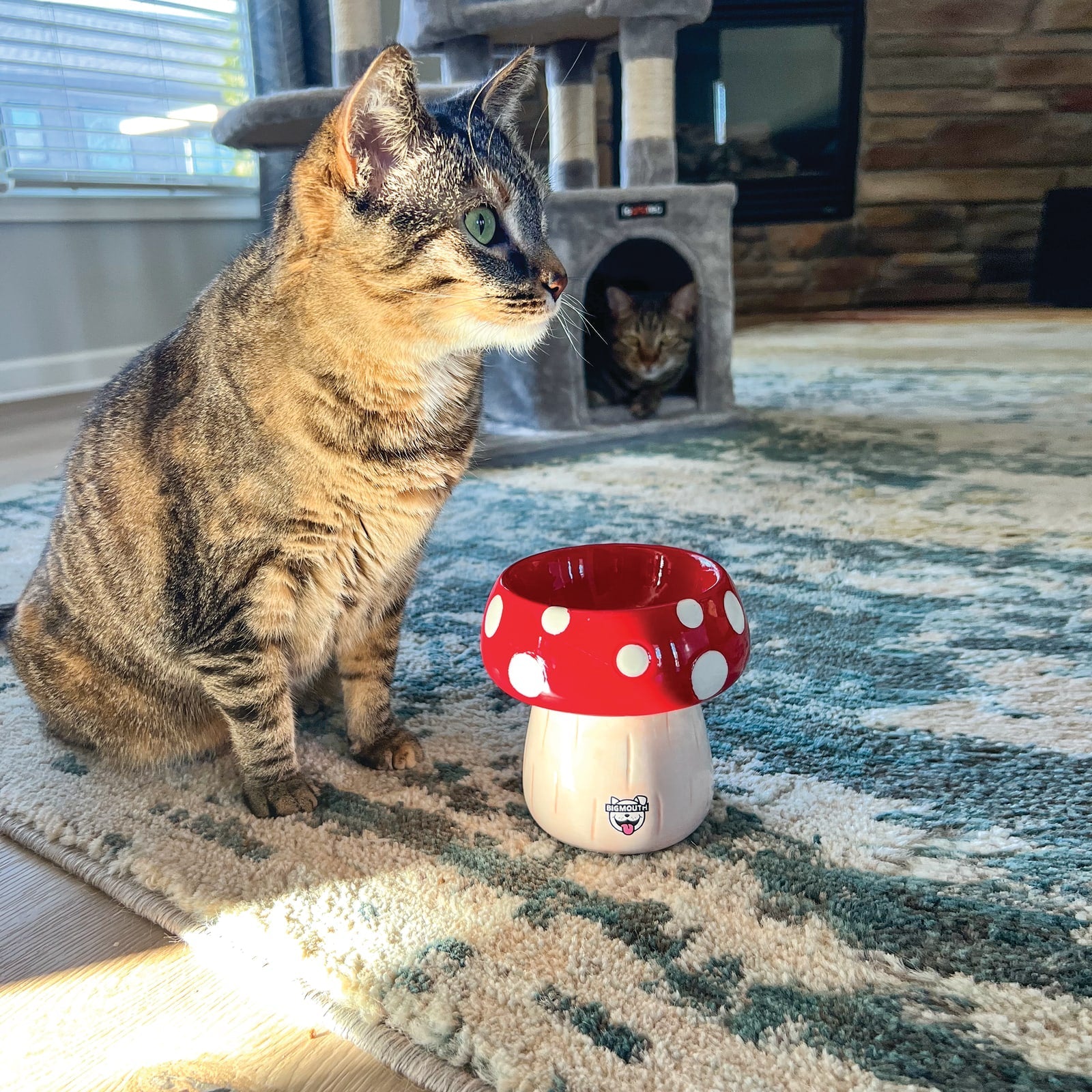 BigMouth Inc BigMouth 'Shroom' Cat and Dog Bowl