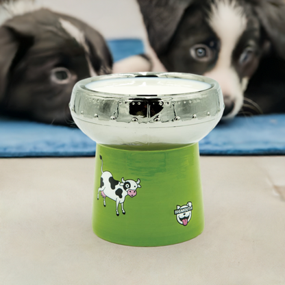 BigMouth Inc BigMouth 'Out of This World' Cat Bowl