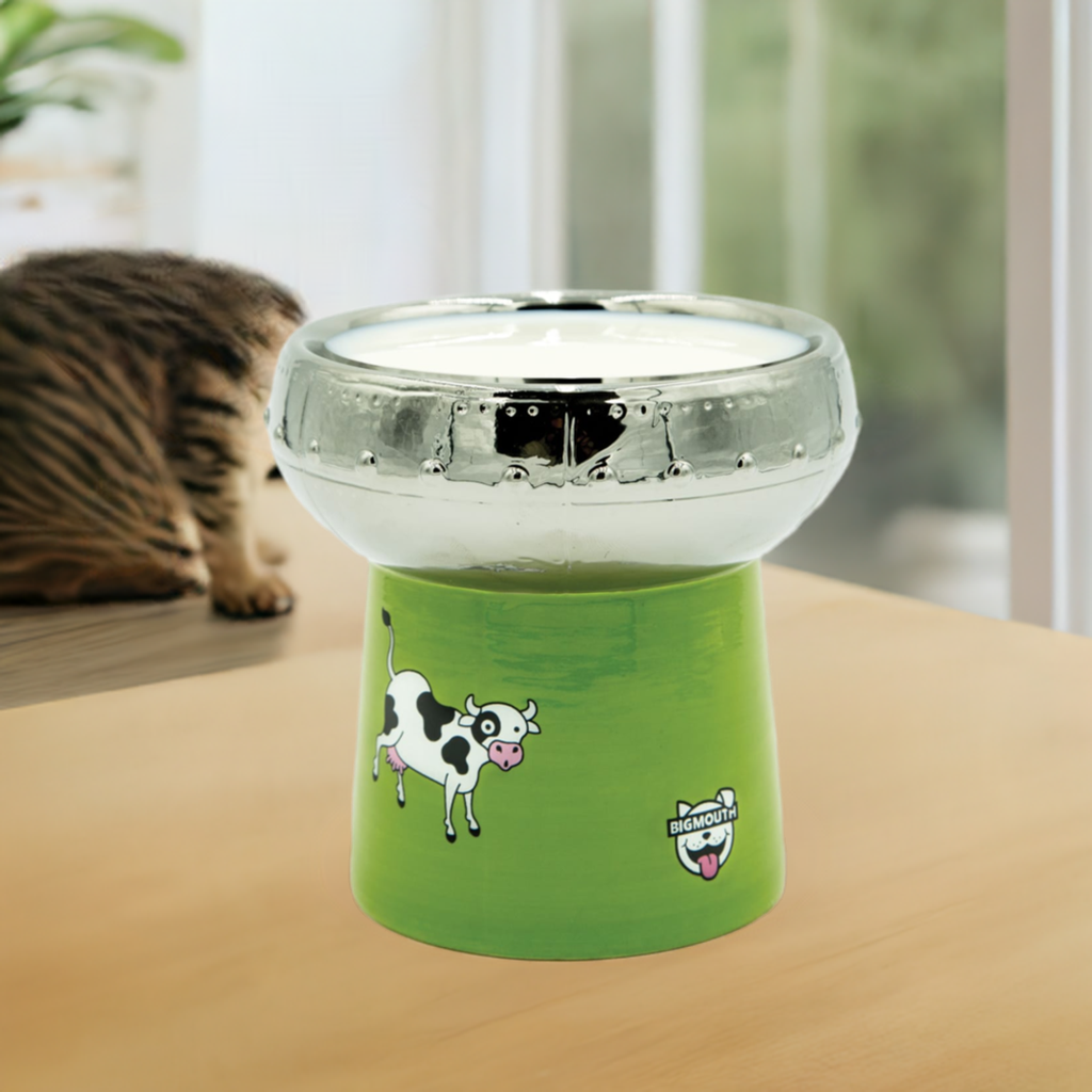 BigMouth Inc BigMouth 'Out of This World' Cat Bowl