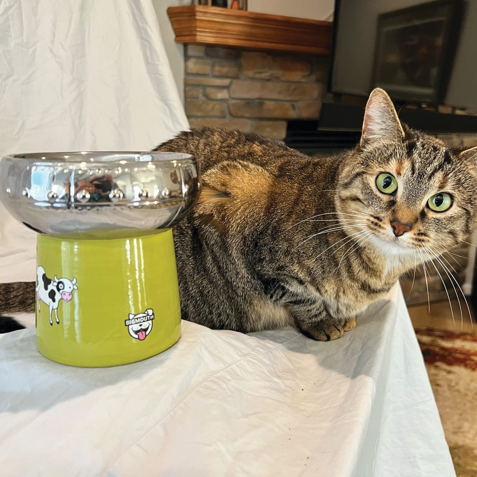 BigMouth Inc BigMouth 'Out of This World' Cat Bowl
