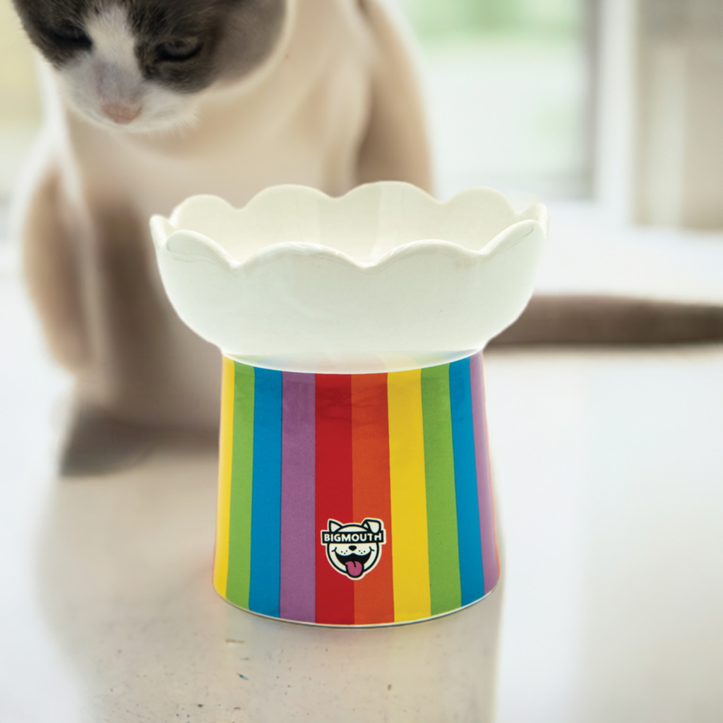 BigMouth Inc "Somewhere Over the Rainbow" Cat Bowl