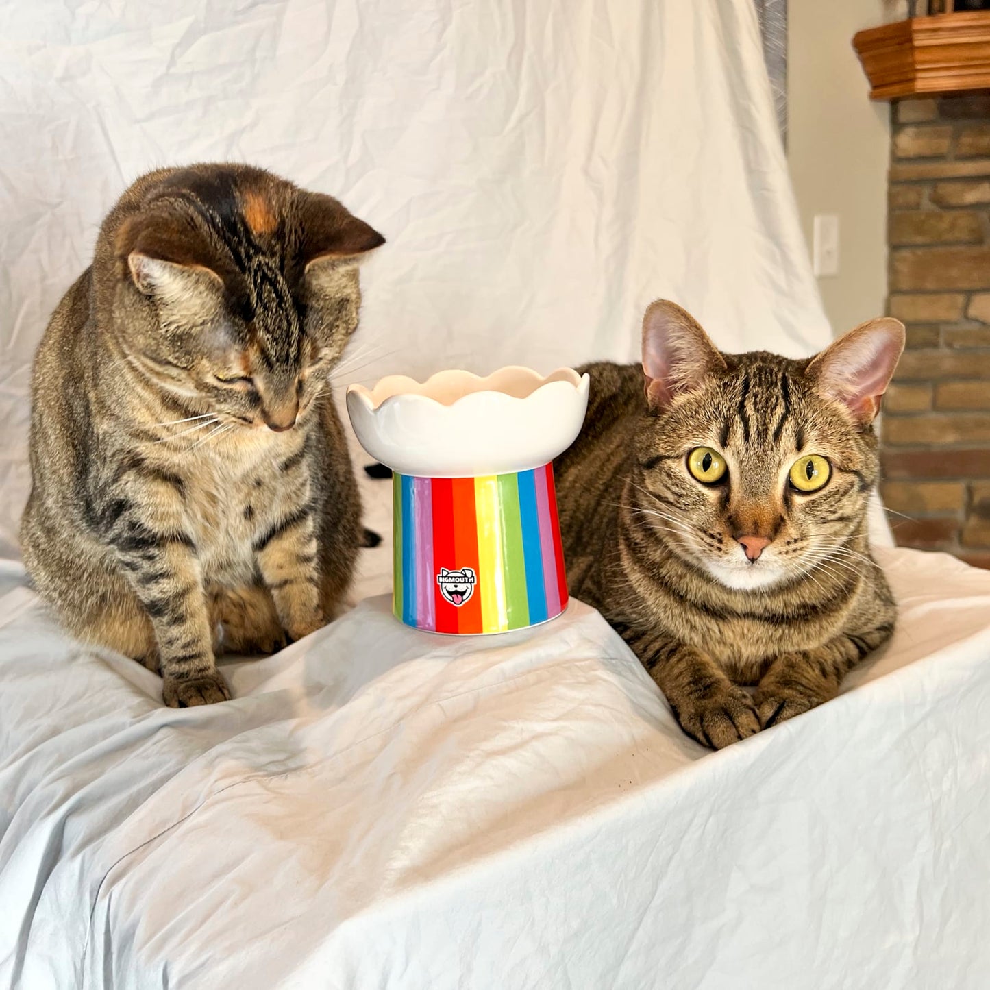 BigMouth Inc "Somewhere Over the Rainbow" Cat Bowl