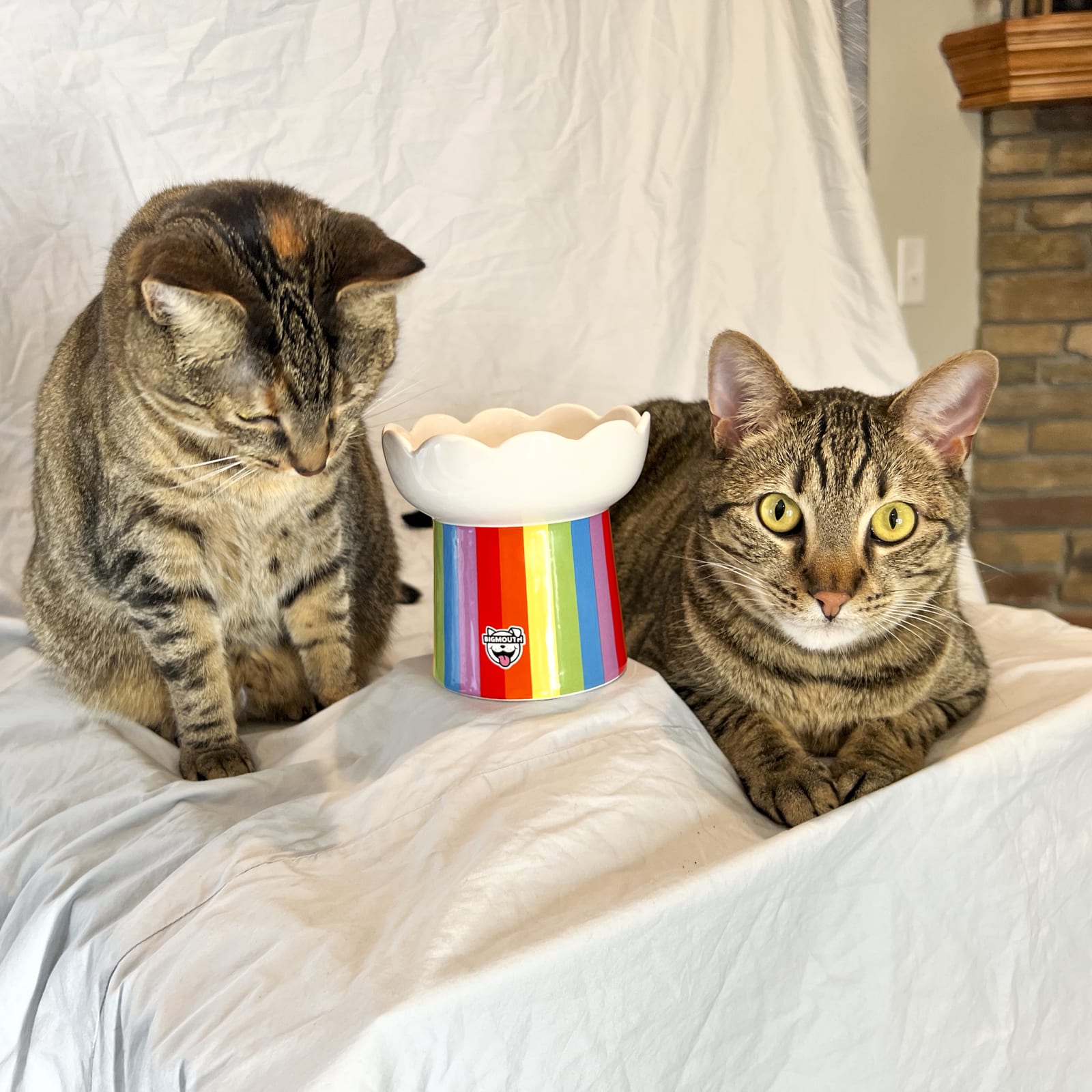 BigMouth Inc "Somewhere Over the Rainbow" Cat Bowl