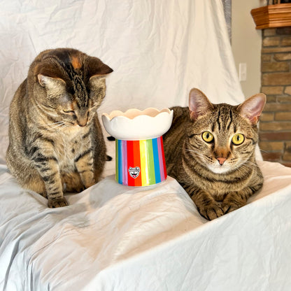 BigMouth Inc "Somewhere Over the Rainbow" Cat Bowl