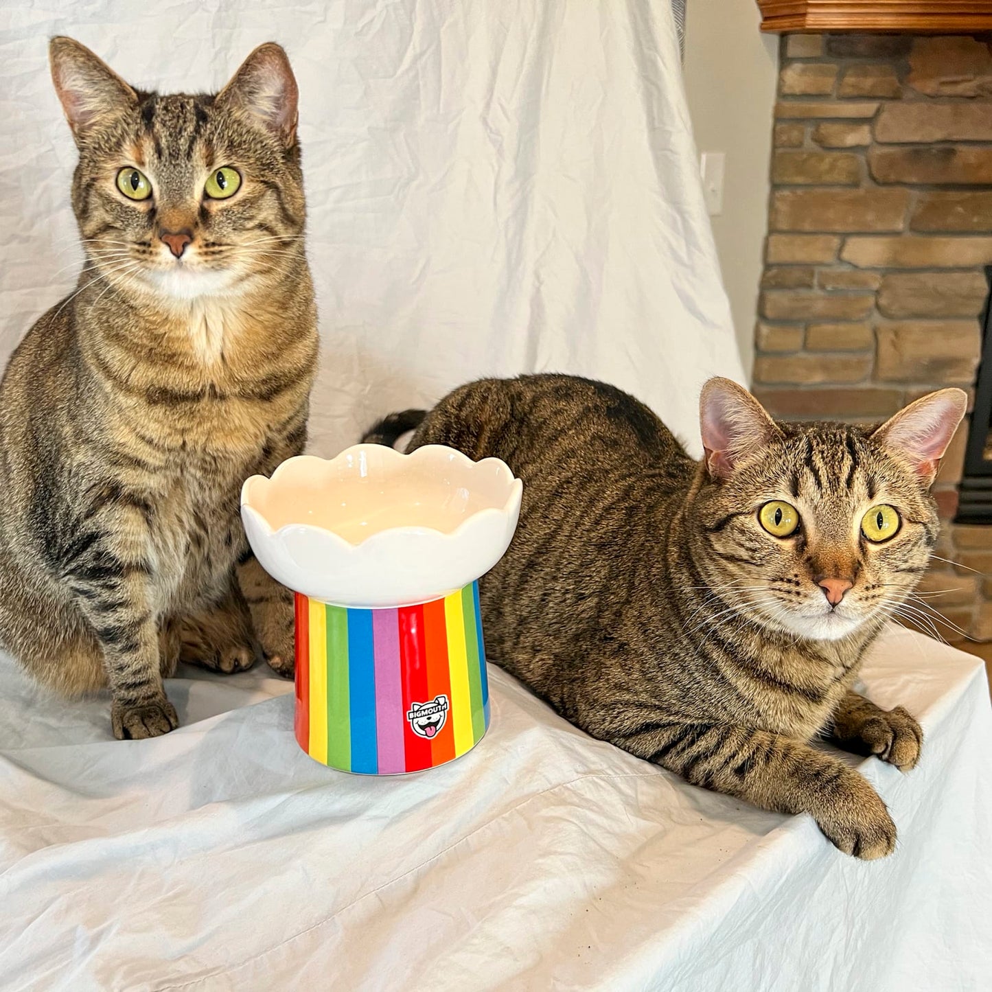 BigMouth Inc "Somewhere Over the Rainbow" Cat Bowl