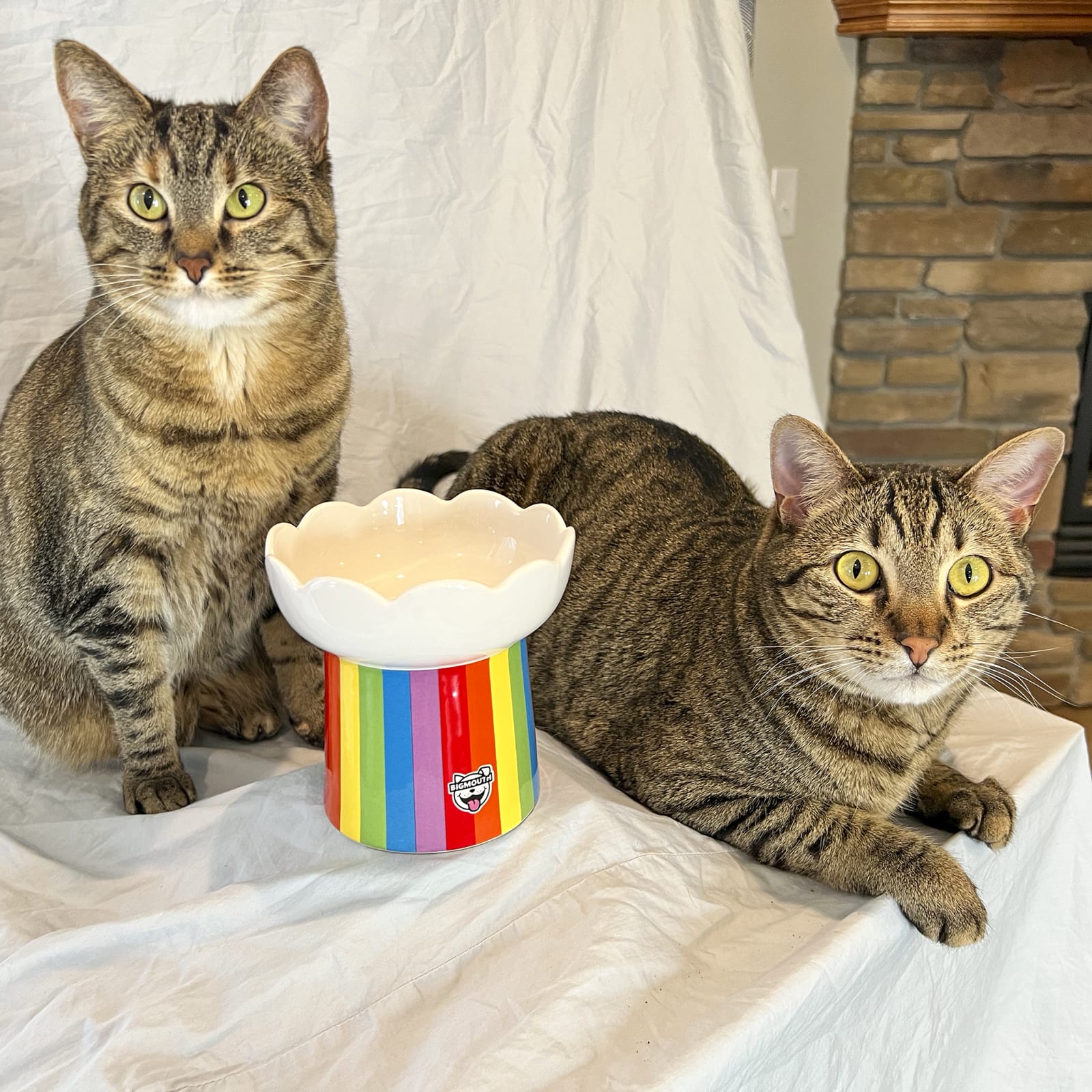 BigMouth Inc "Somewhere Over the Rainbow" Cat Bowl
