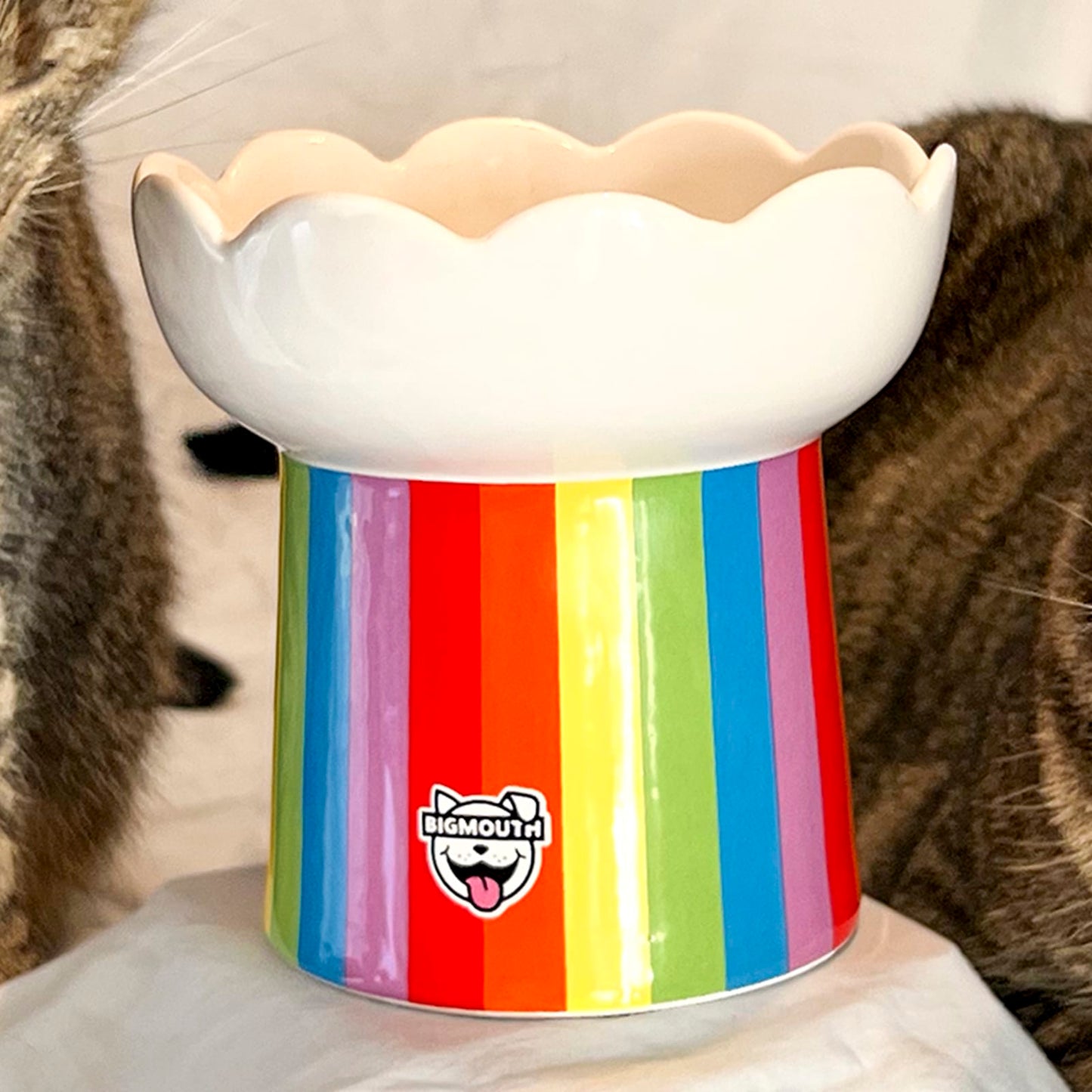 BigMouth Inc "Somewhere Over the Rainbow" Cat Bowl