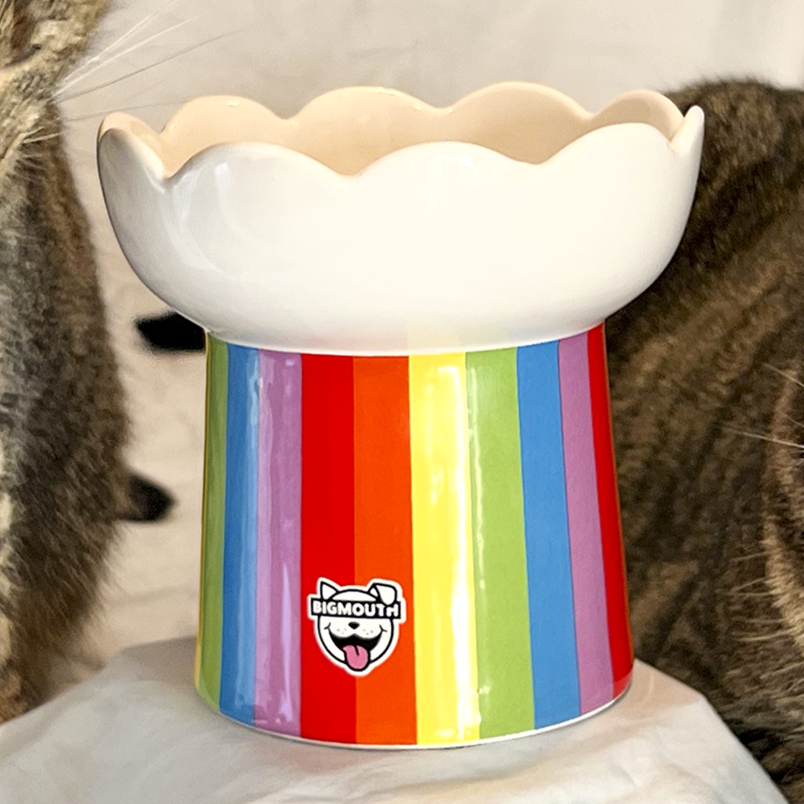 BigMouth Inc "Somewhere Over the Rainbow" Cat Bowl