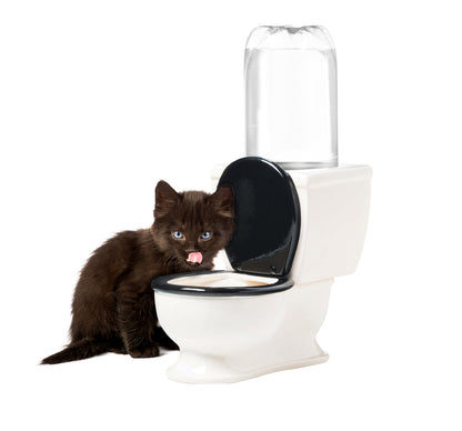 BigMouth Inc The Toilet Water Dish