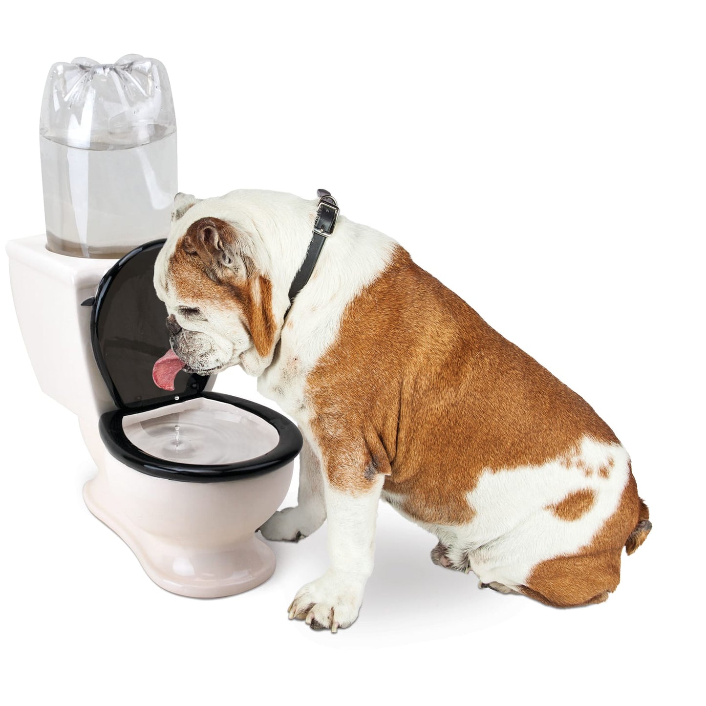 BigMouth Inc The Toilet Water Dish
