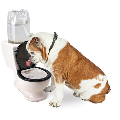 BigMouth Inc The Toilet Water Dish