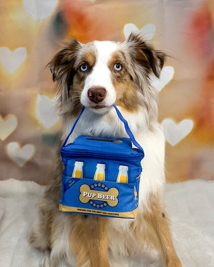 BigMouth Inc BigMouth Boozy Treats Pet Caddy