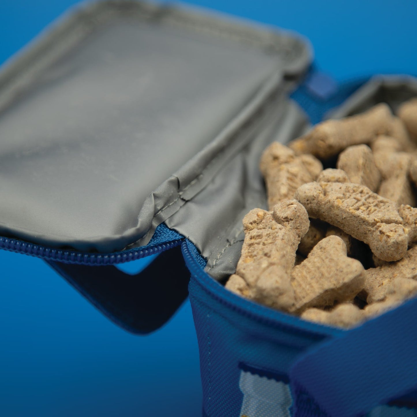 BigMouth Inc BigMouth Boozy Treats Pet Caddy