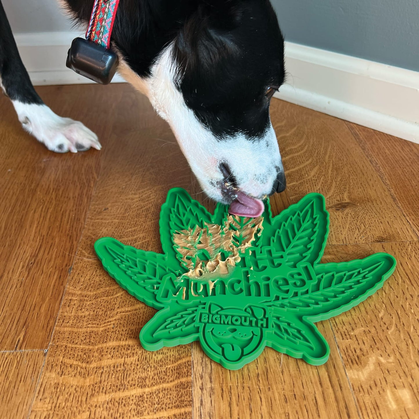 BigMouth Inc BigMouth Munchies Lick Mat
