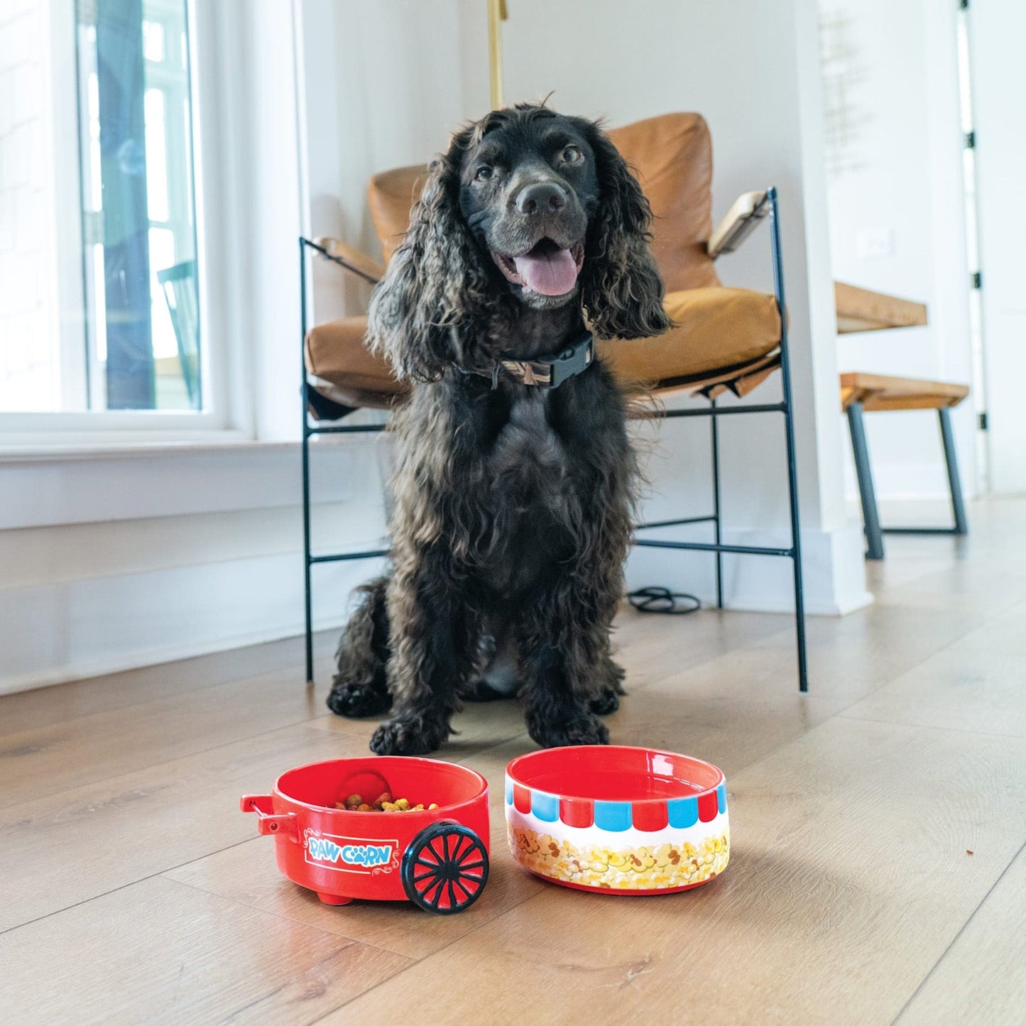 BigMouth Inc Poppin' Paws Pet Stacking Bowls