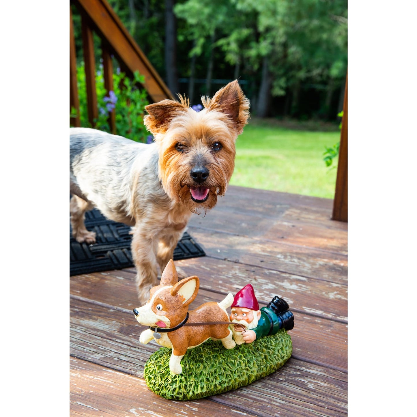 BigMouth Inc Giddy Up Doggy Gnome