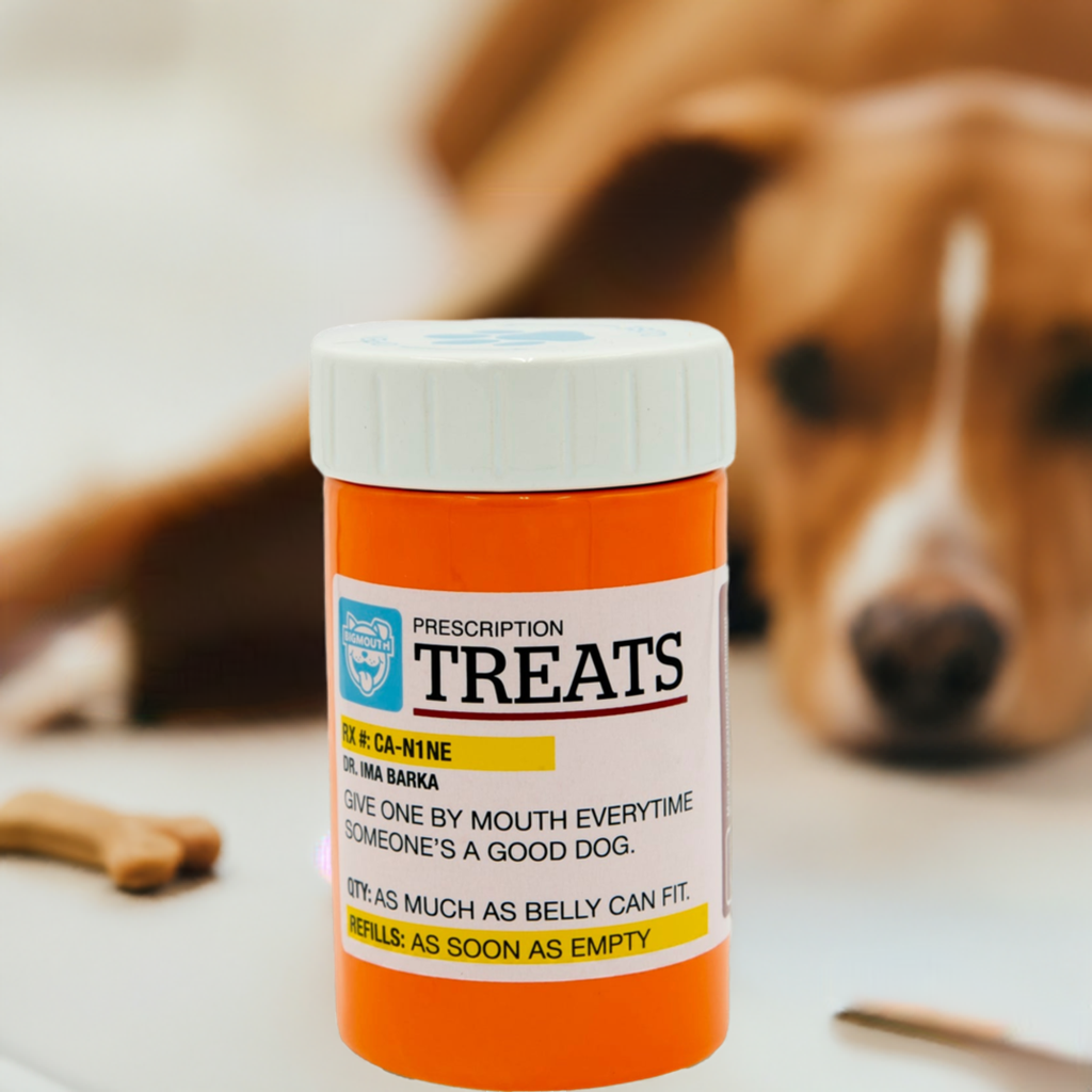 BigMouth Inc BigMouth Pets "Prescription" Treat Jar