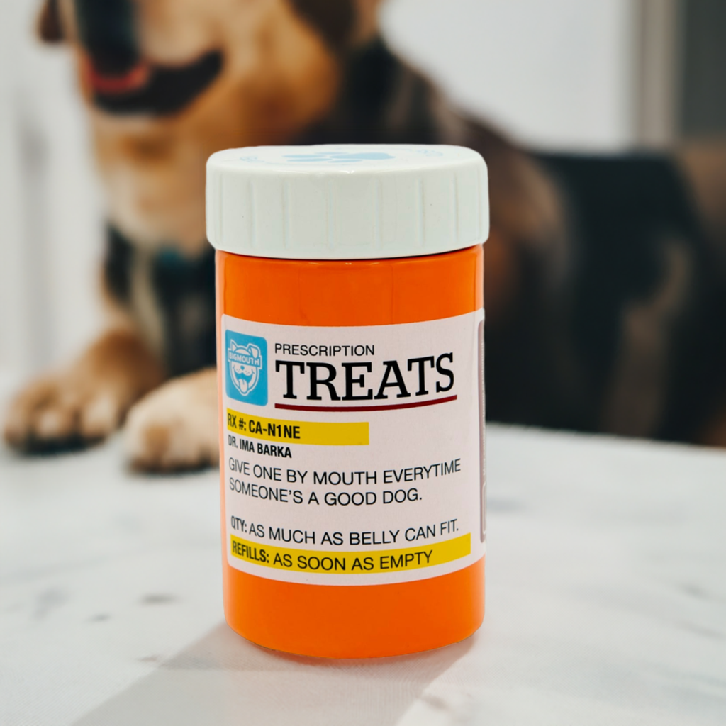 BigMouth Inc BigMouth Pets "Prescription" Treat Jar