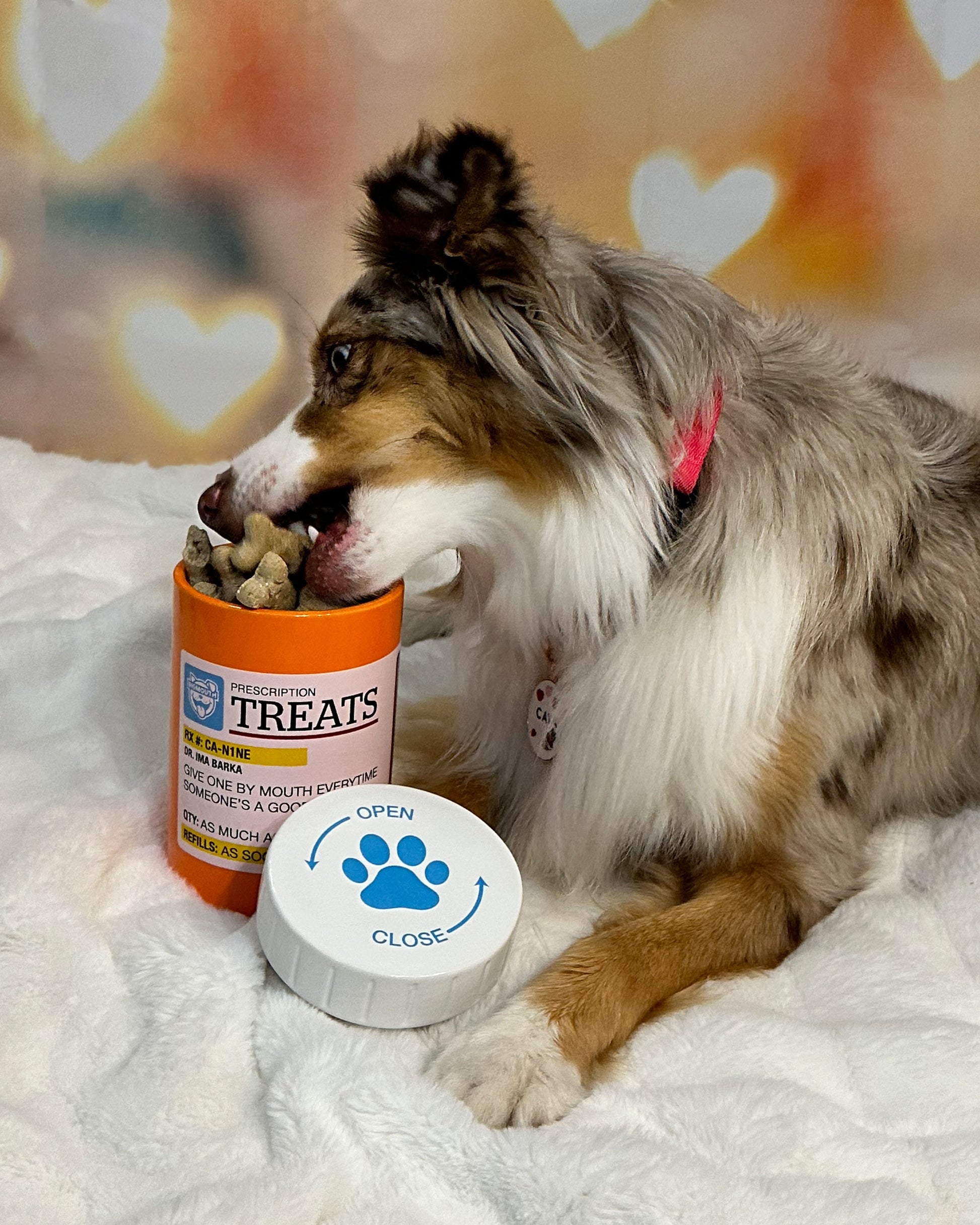 BigMouth Inc BigMouth Pets "Prescription" Treat Jar