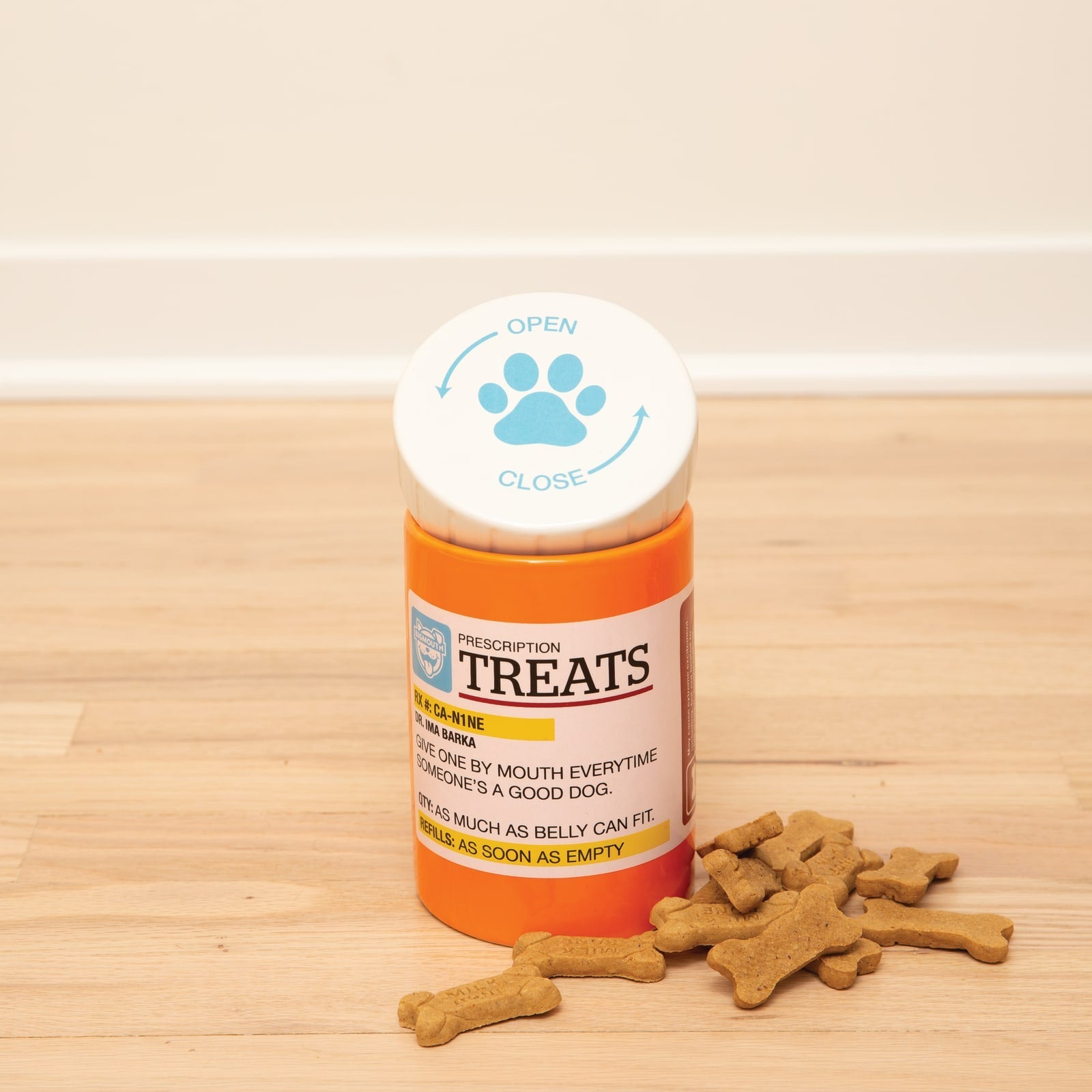 BigMouth Inc BigMouth Pets "Prescription" Treat Jar