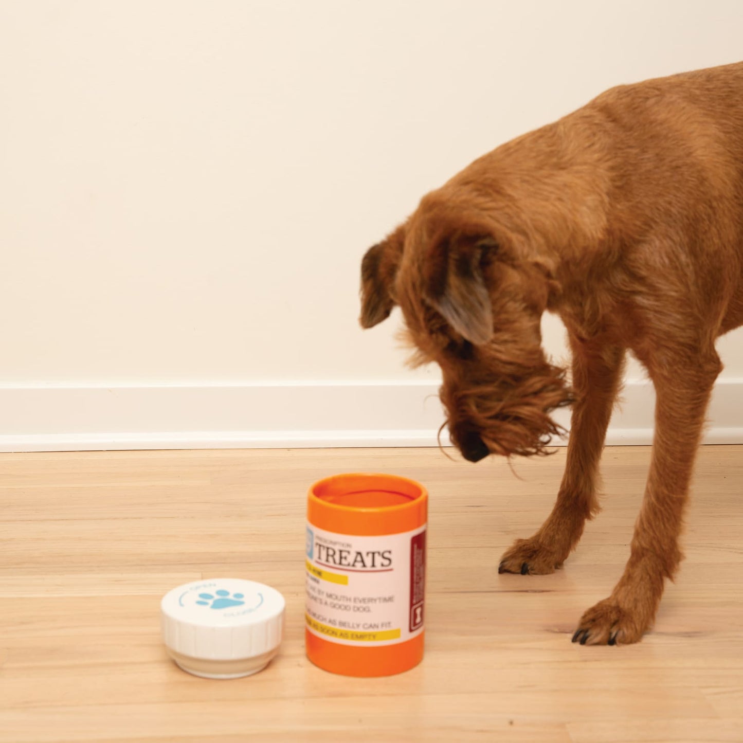 BigMouth Inc BigMouth Pets "Prescription" Treat Jar