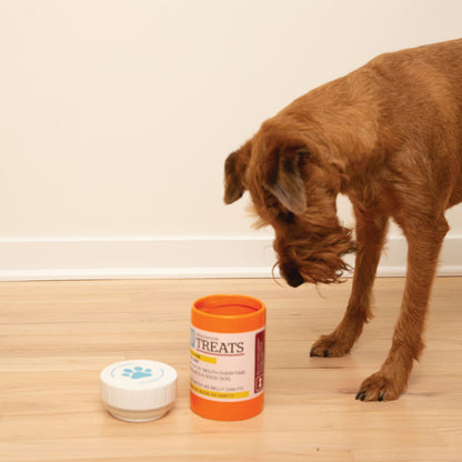 BigMouth Inc BigMouth Pets "Prescription" Treat Jar