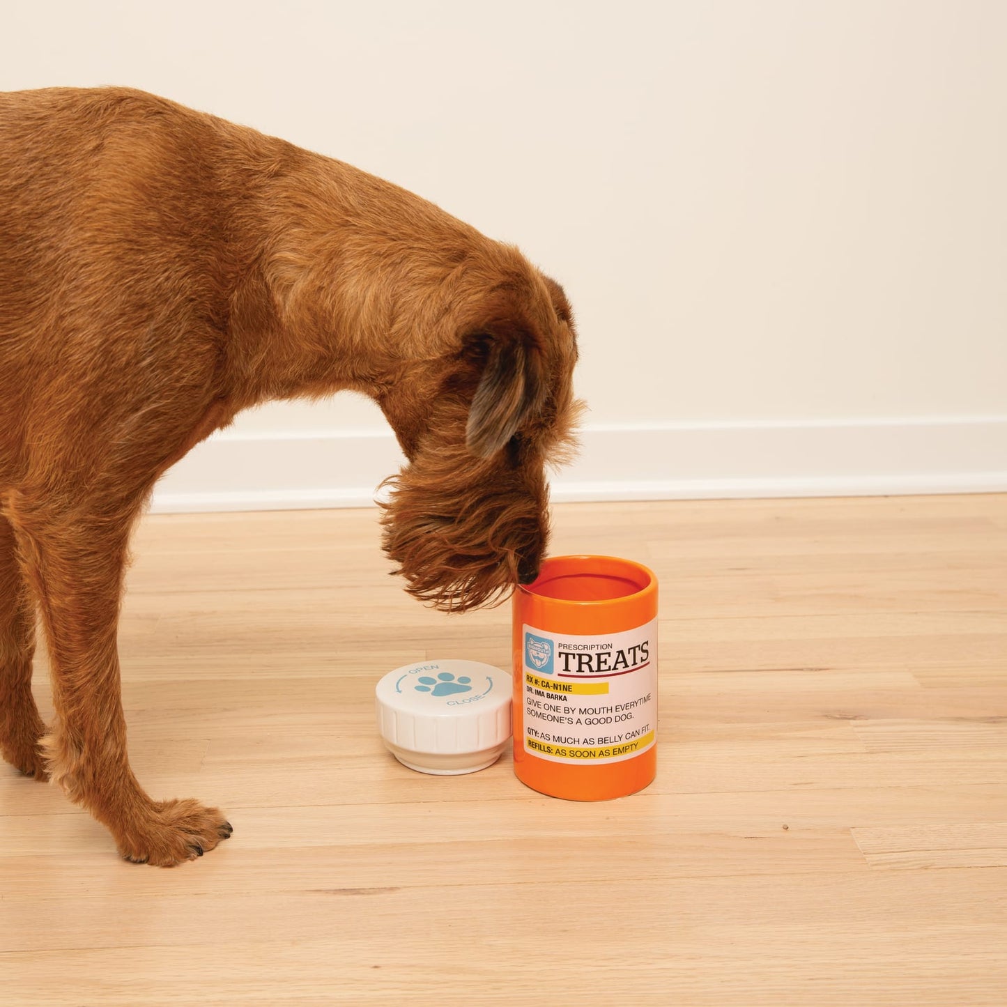 BigMouth Inc BigMouth Pets "Prescription" Treat Jar