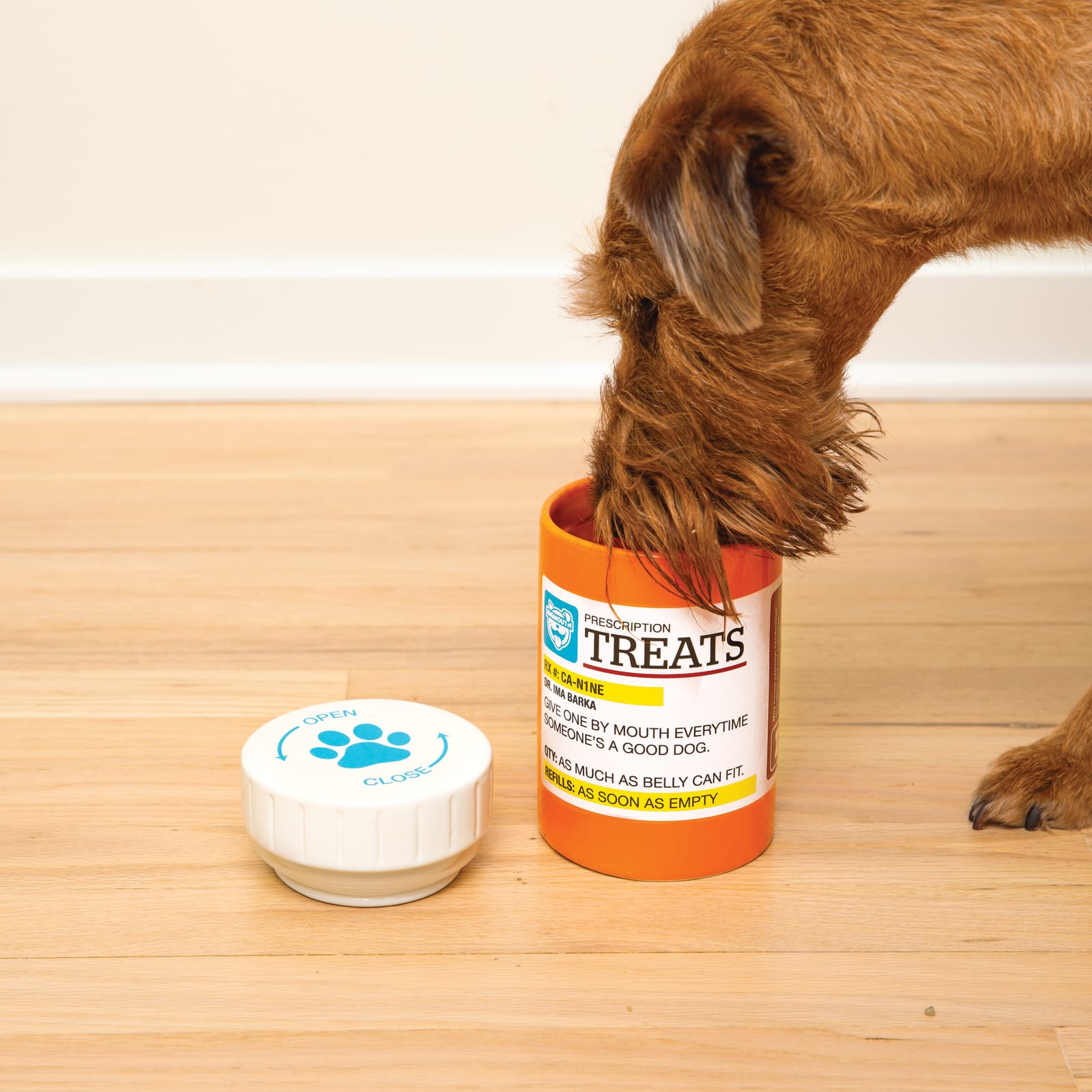 BigMouth Inc BigMouth Pets "Prescription" Treat Jar
