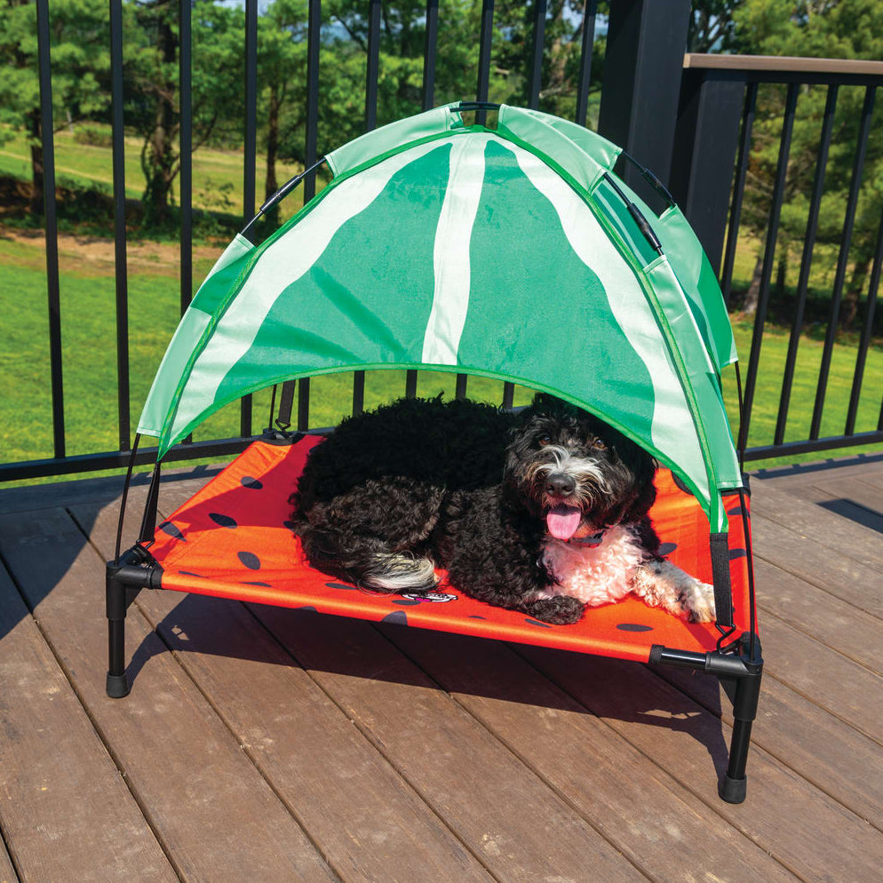 BigMouth Inc BigMouth Pets Watermelon Canopy Bed