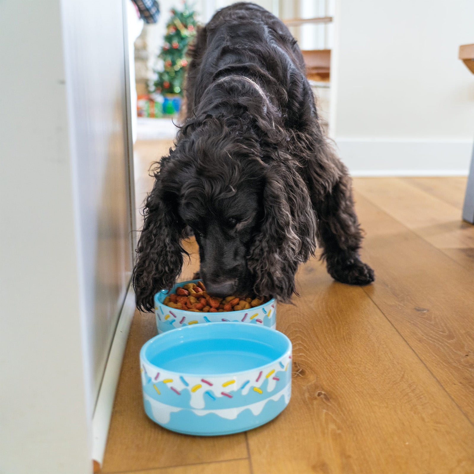 BigMouth Inc Sweet Spot Stacking Pet Bowls