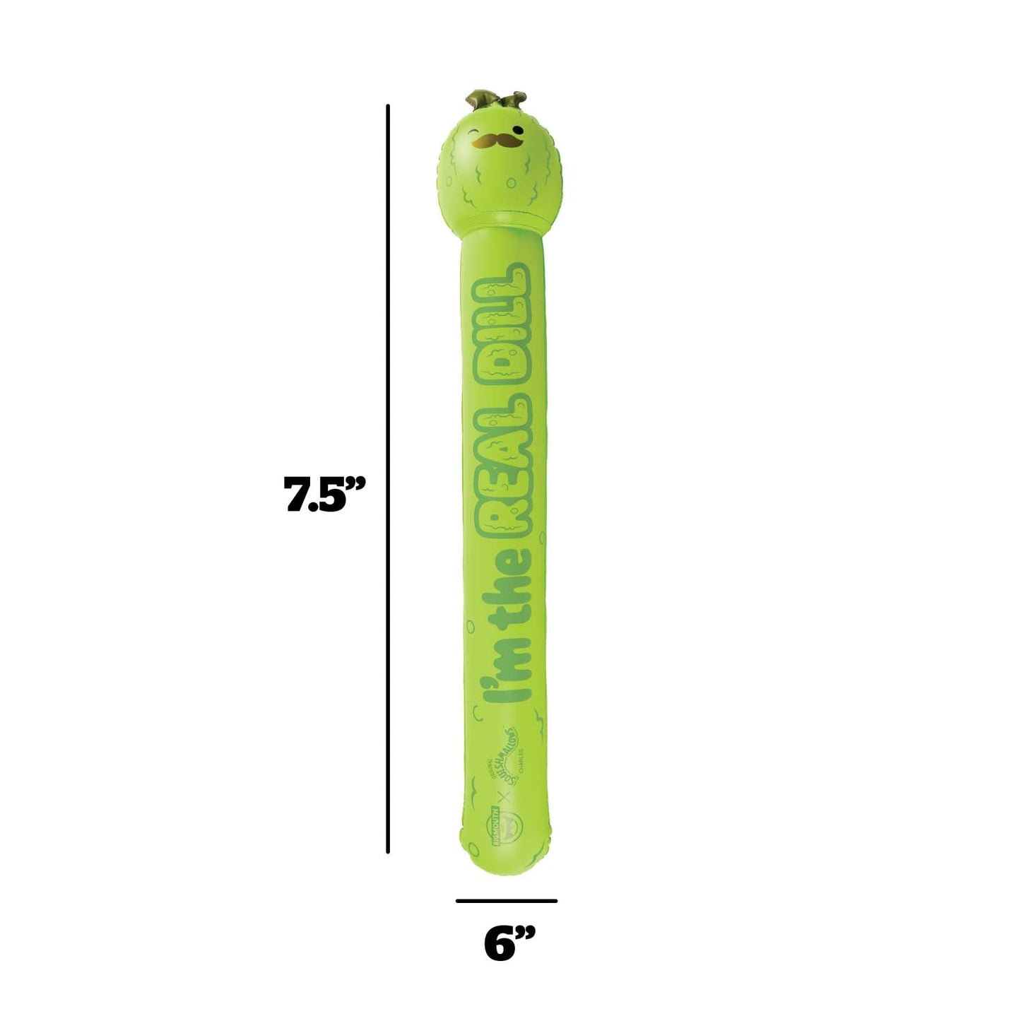 BigMouth Inc Squishmallows Charles the Pickle Pool Noodle